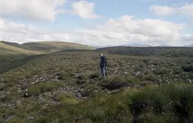 Irlandia — zdjęcie z wyjazdu 2