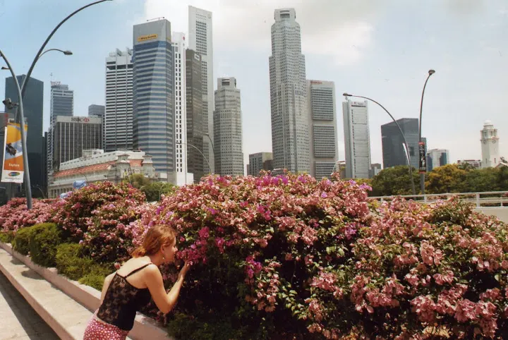 Singapur — Travelin, podróże szyte na miarę