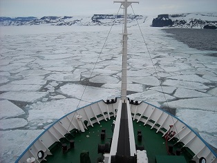 wycieczki na Antarktydę