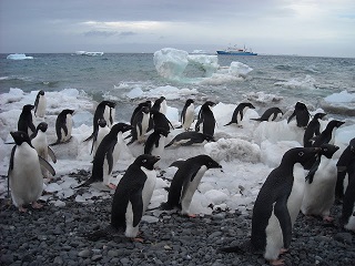 wyprawy na Antarktydę