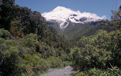 wyjazdy do Nowej Zelandii