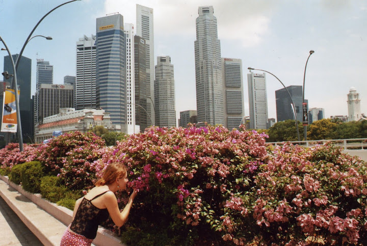 wycieczki do Singapuru