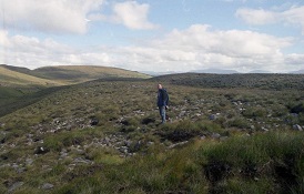 irlandia fly and drive